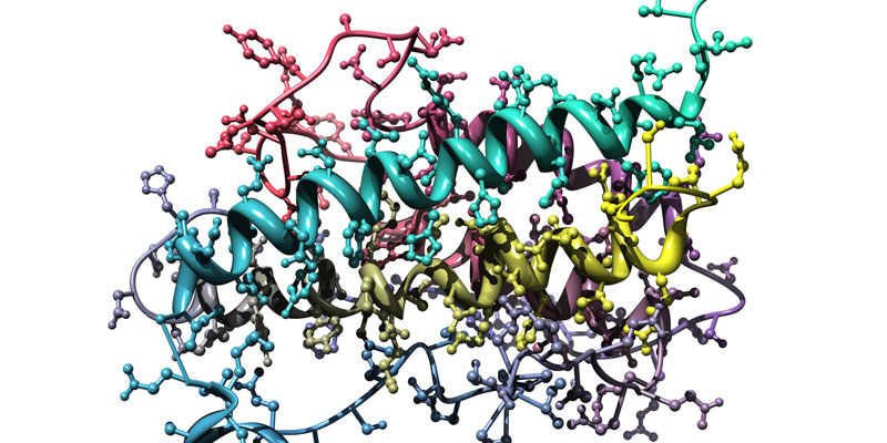 Proteins, Antibodies and ADCs