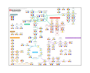 Exact Mass Database for Endogenous Metabolites